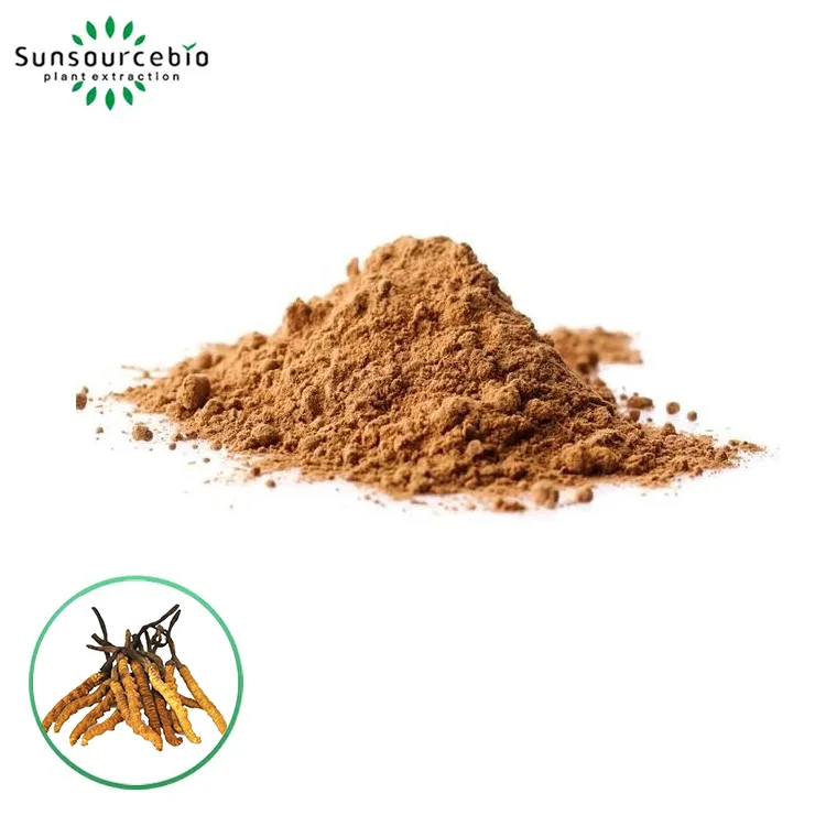 Cordyceps sinensis抽出物