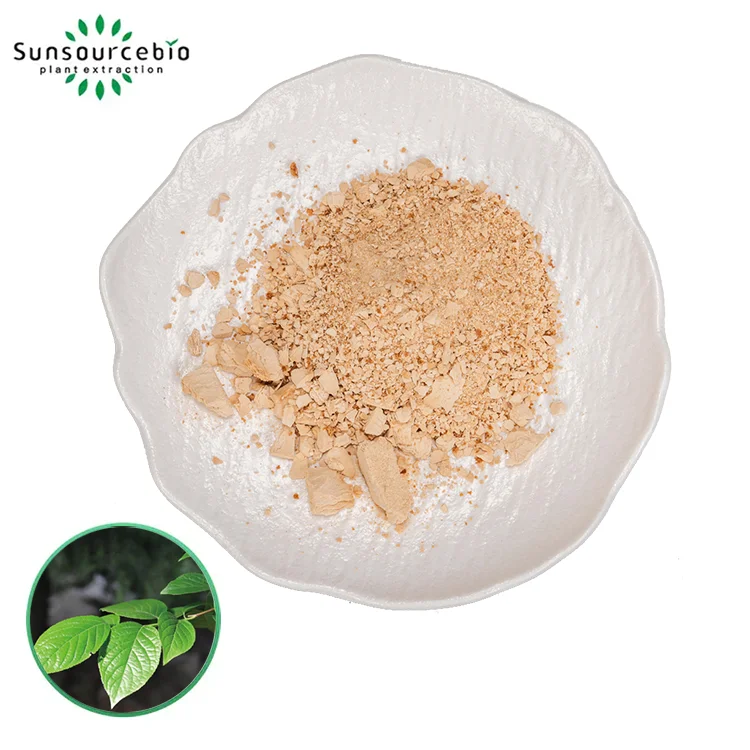 Eucommia Extract Powder