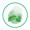 White Kidney Bean Extract
